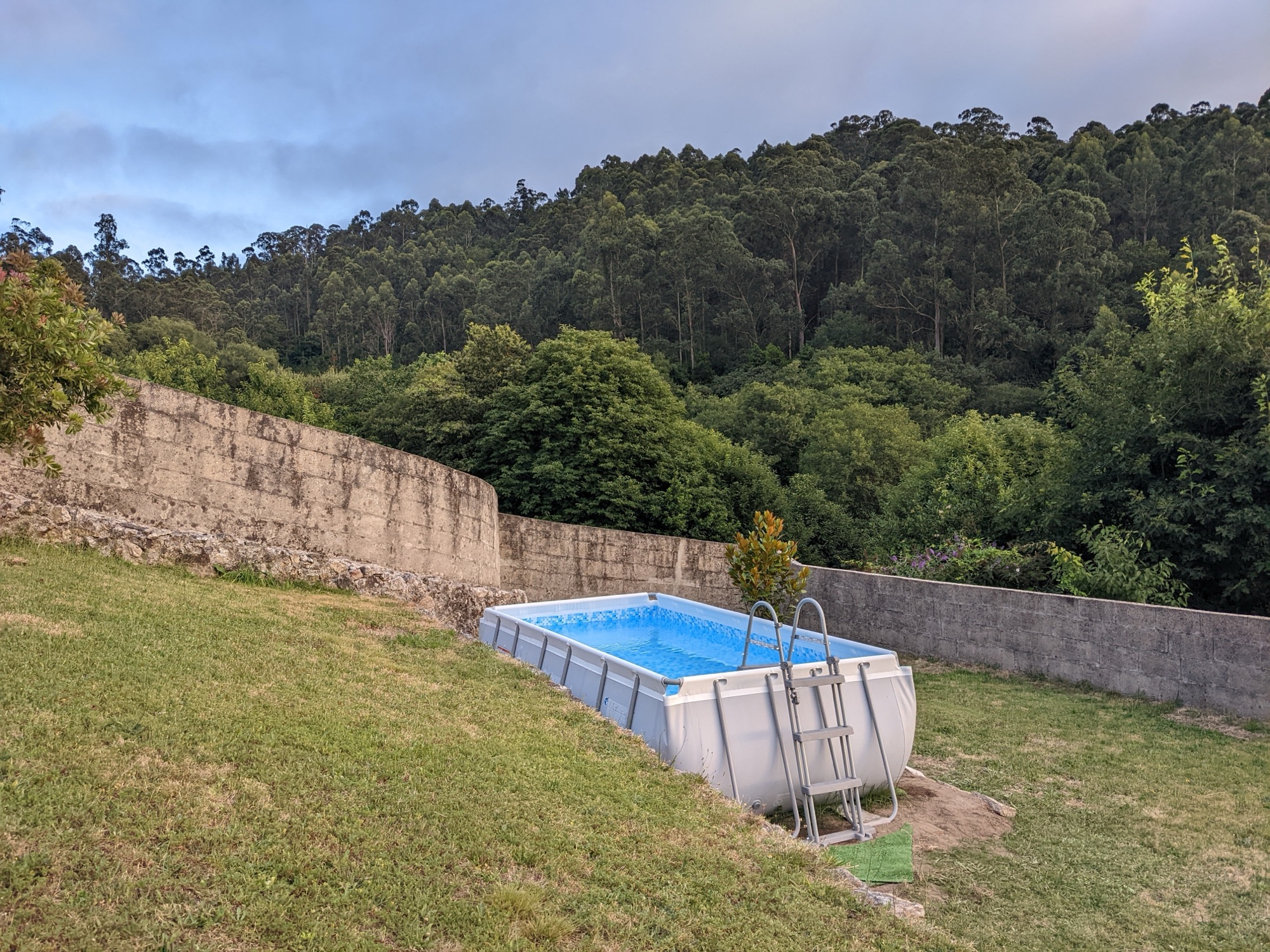Piscina rodeada de jardín