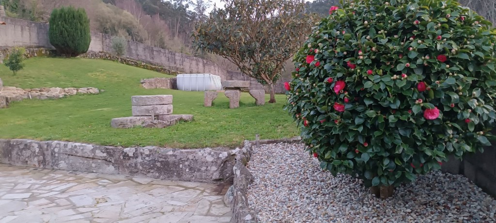 Jardín con camelia y mesa de piedra gallega